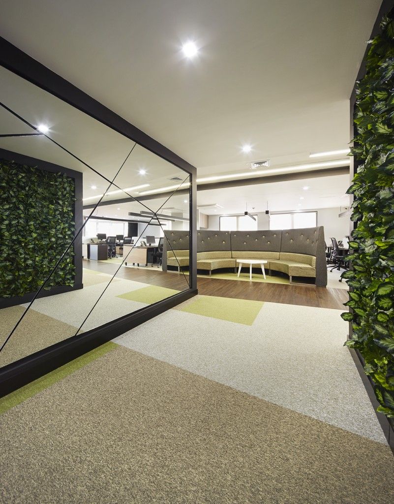 espacio abierto a la luz.arquint. vegetal