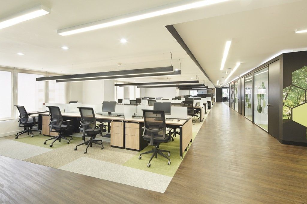 espacio abierto a la luz.arquint. zona trabajo