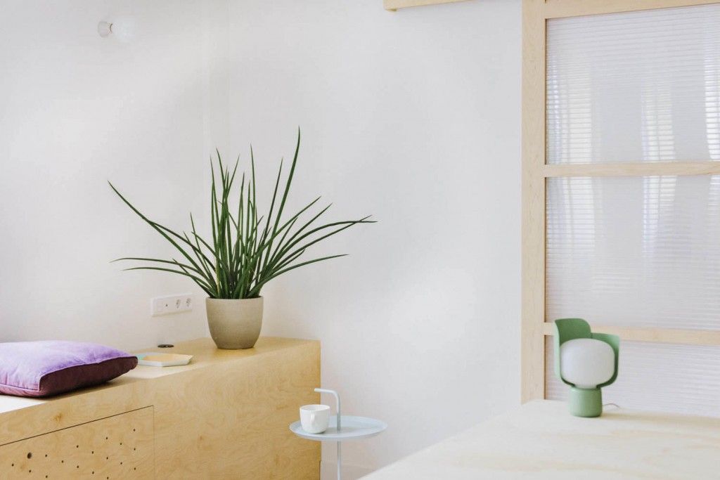 lámpara-planta-diseno-escandinavo lámpara y planta de diseño escandinavo