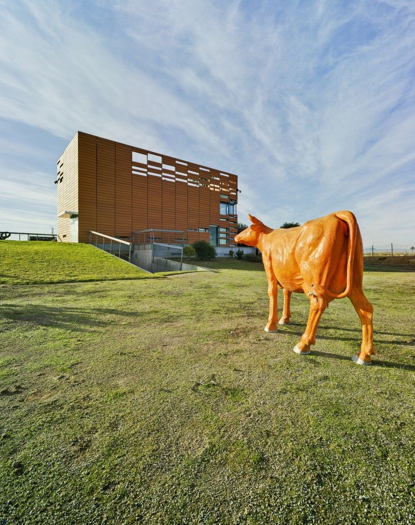 year of the bull de Xavier Mascaró